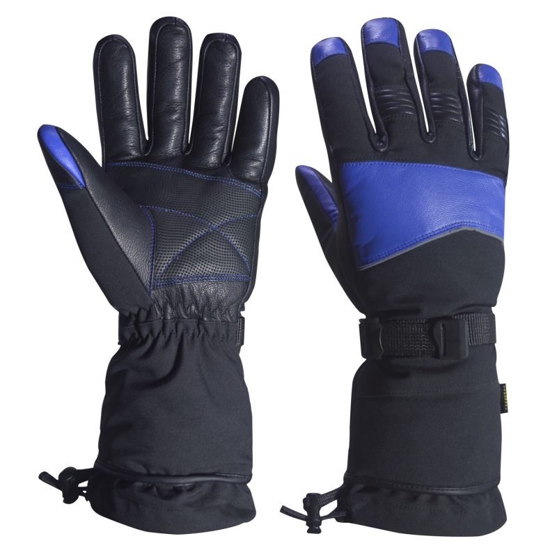 Ski Gloves